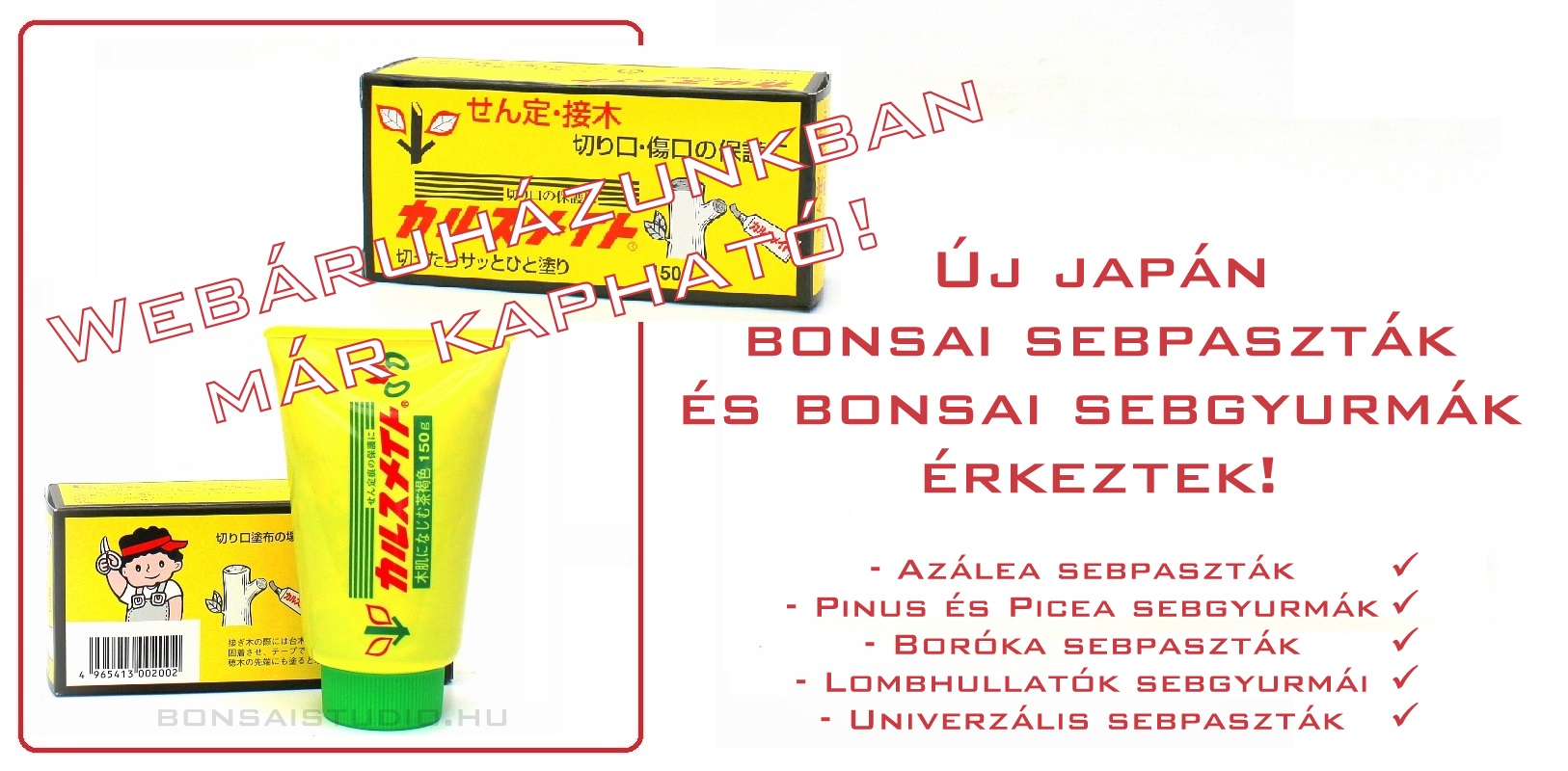 bonsai seb, bonsai sebkezelo, cutpast, vasarlas rendeles, japan sebgyurma bonsai kiegeszitok es bonsaj sebkezelok rendelese vasarlasa